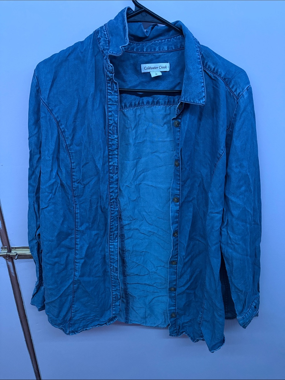 Coldwater Creek Men’s Indigo Blue Denim Button-Front Shirt